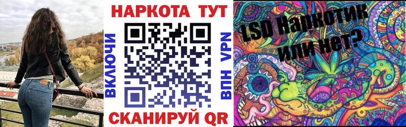 Где можно купить наркотики Нерюнгри Бошки Шишки  Кодеин  Гашиш  Мефедрон  БУТИРАТ  Альфа ПВП  Галлюциногенные грибы 